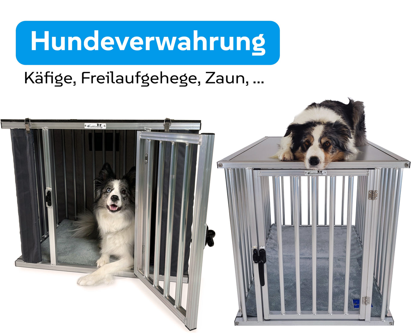 Hundeverwahrung – Sicher & komfortabel für jede Situation