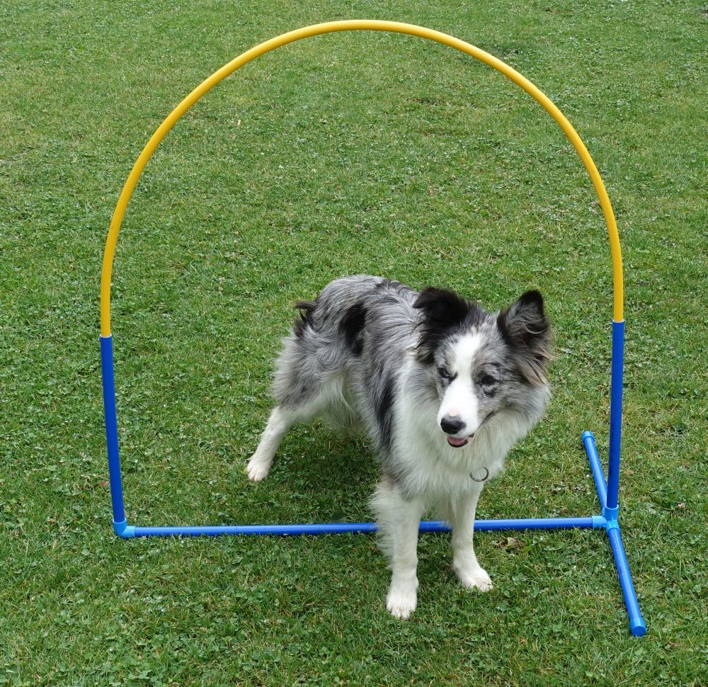 Hoopers Fun Hoops (mit Mittelstrebe) – NADAC-konform