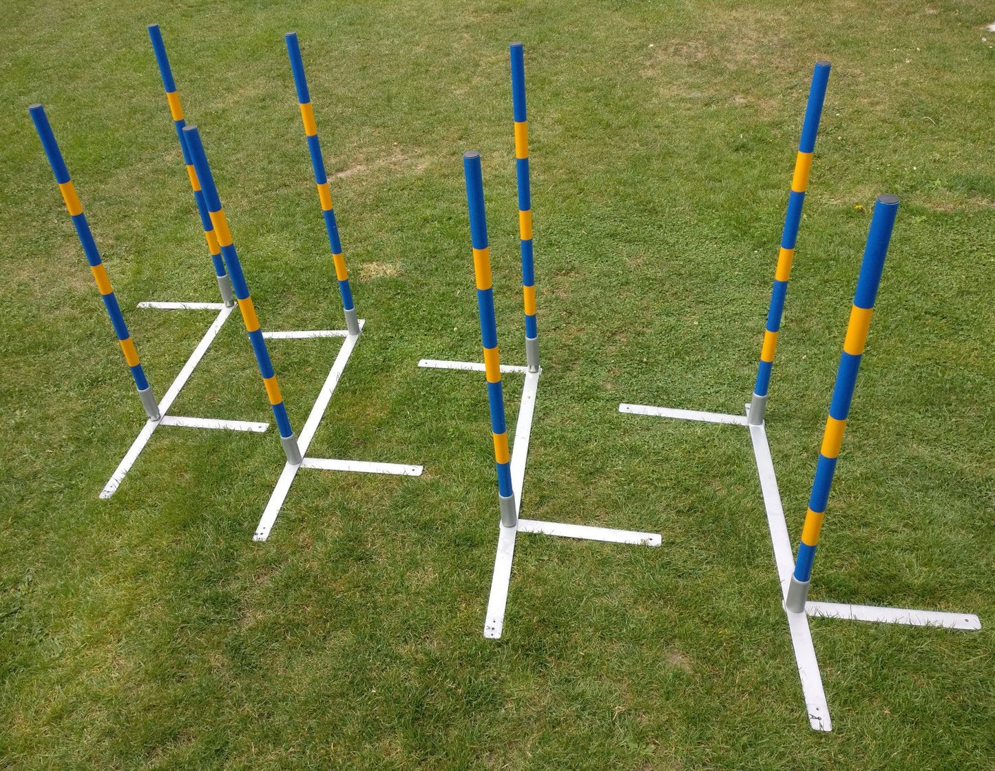 Agility Slalom „2by2 flex“ – Vielseitiger 12-Stangen Slalom für Training & Turniere