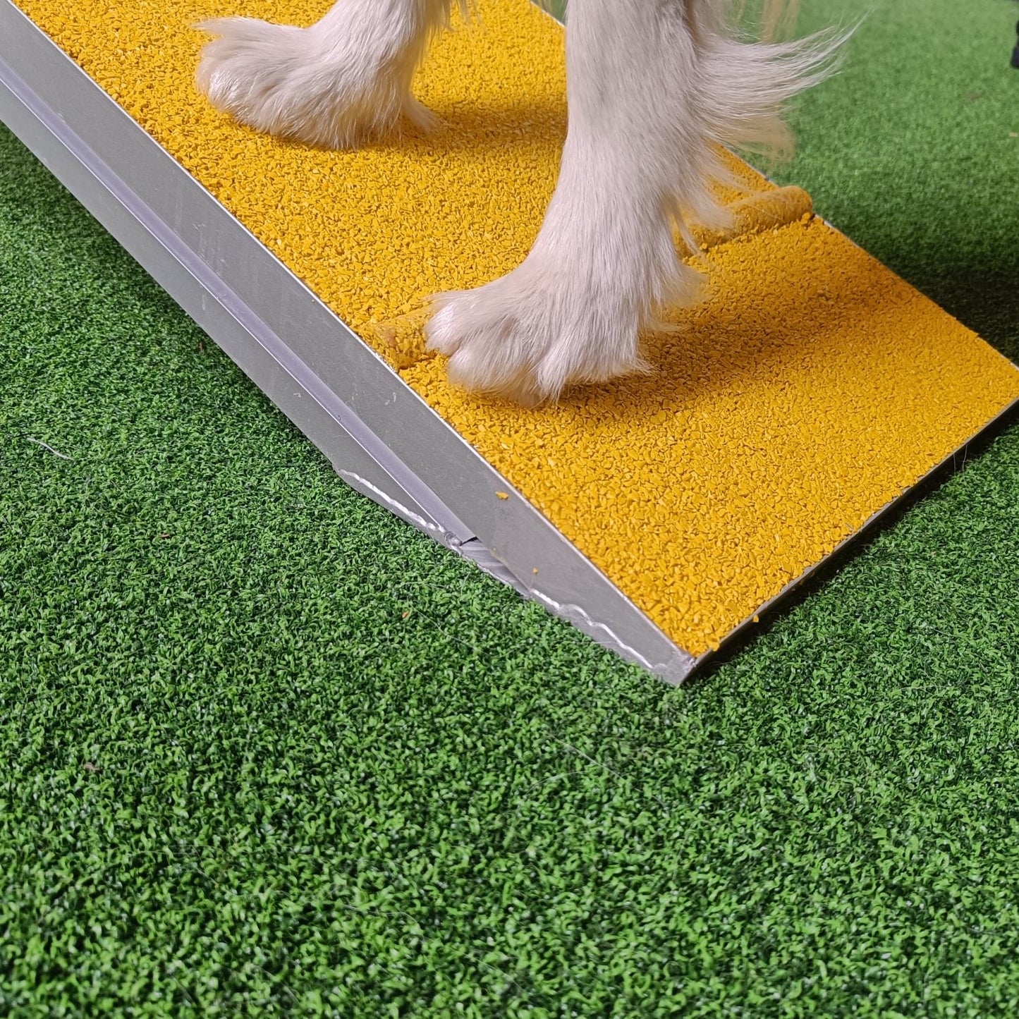 ALU Agilitysteg „Agi Dog Walk PRO“ DIVIS | gummiert, FCI-konform