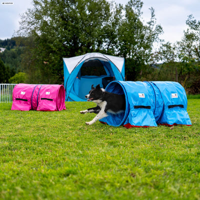 Blue Callieway Hoopers tunnel curved for dog agility training