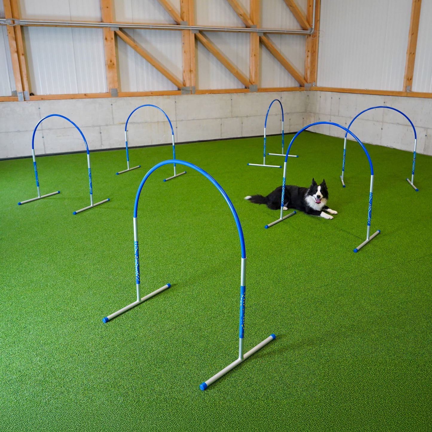 Profi Hoopers ALU Agility Hoops – Großpackung | NADAC-konform (ohne Mittelstrebe)