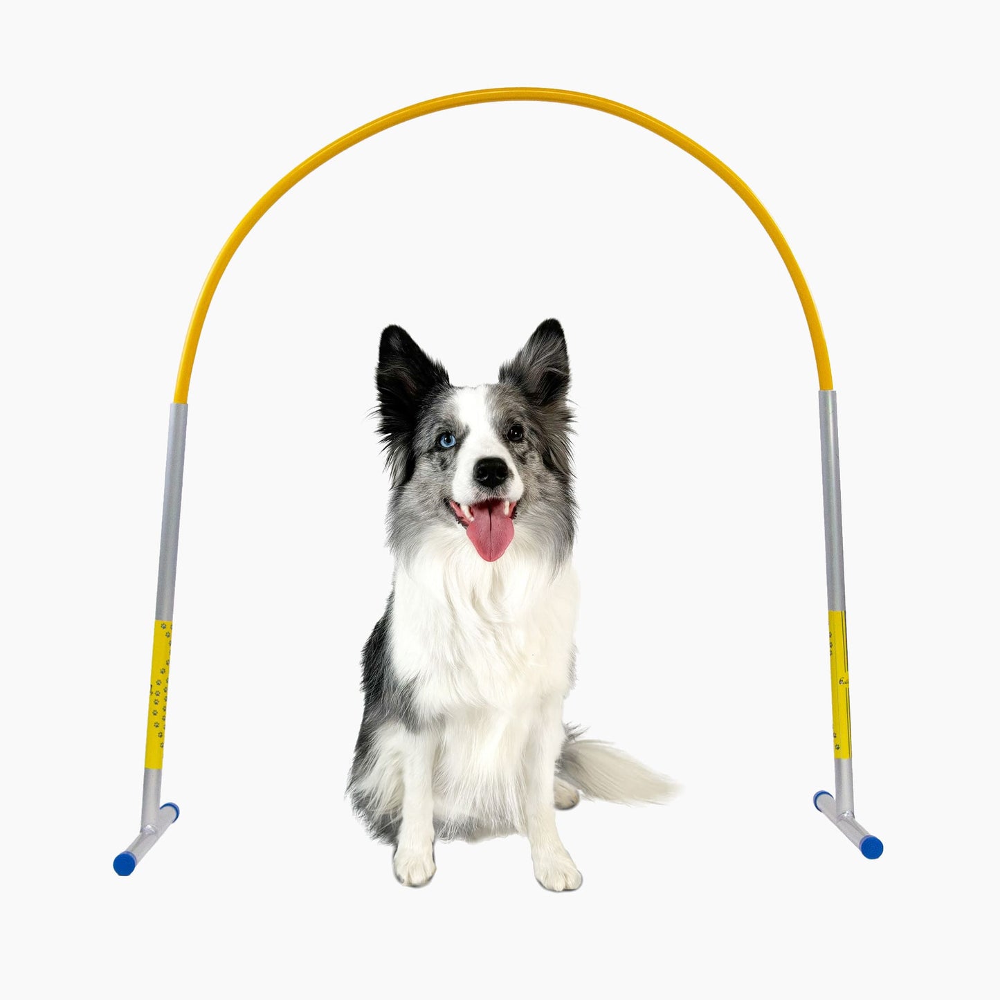 Profi Hoopers ALU Agility Hoops – Großpackung | NADAC-konform (ohne Mittelstrebe)