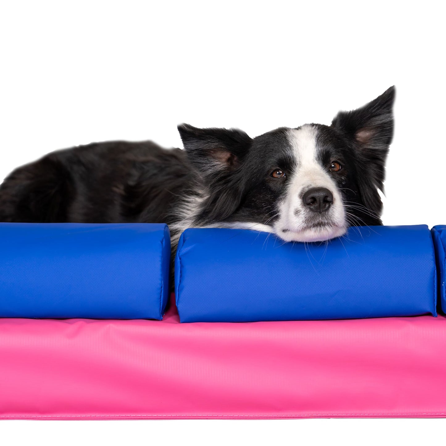 Callieway® „Bounce over - SOFT“ Agility Mauer