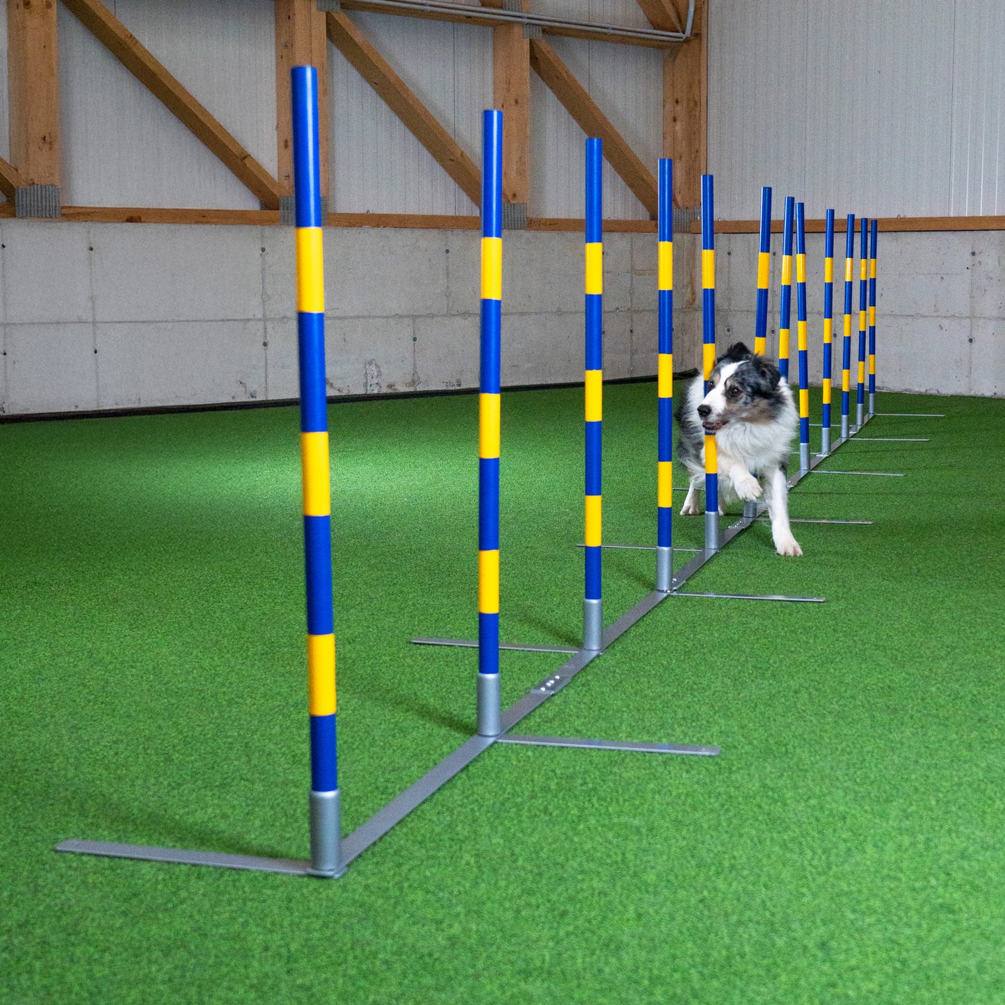 Agility Slalom „2by2 flex“ – Vielseitiger 12-Stangen Slalom für Training & Turniere