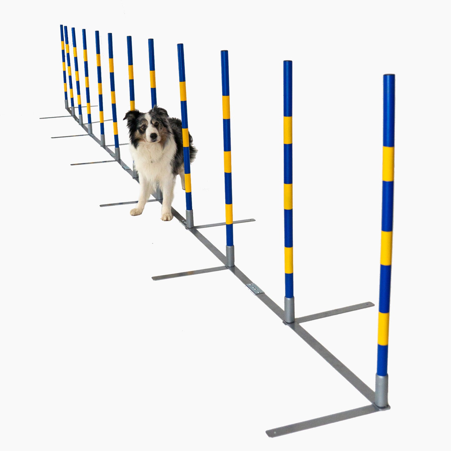 Agility Slalom „2by2 flex“ – Vielseitiger 12-Stangen Slalom für Training & Turniere