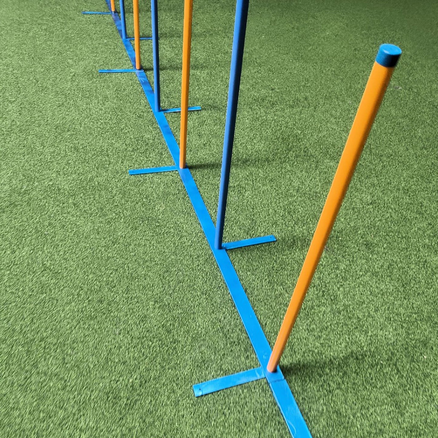 Callieway Agility Slalom Stangen Trophy beim Training