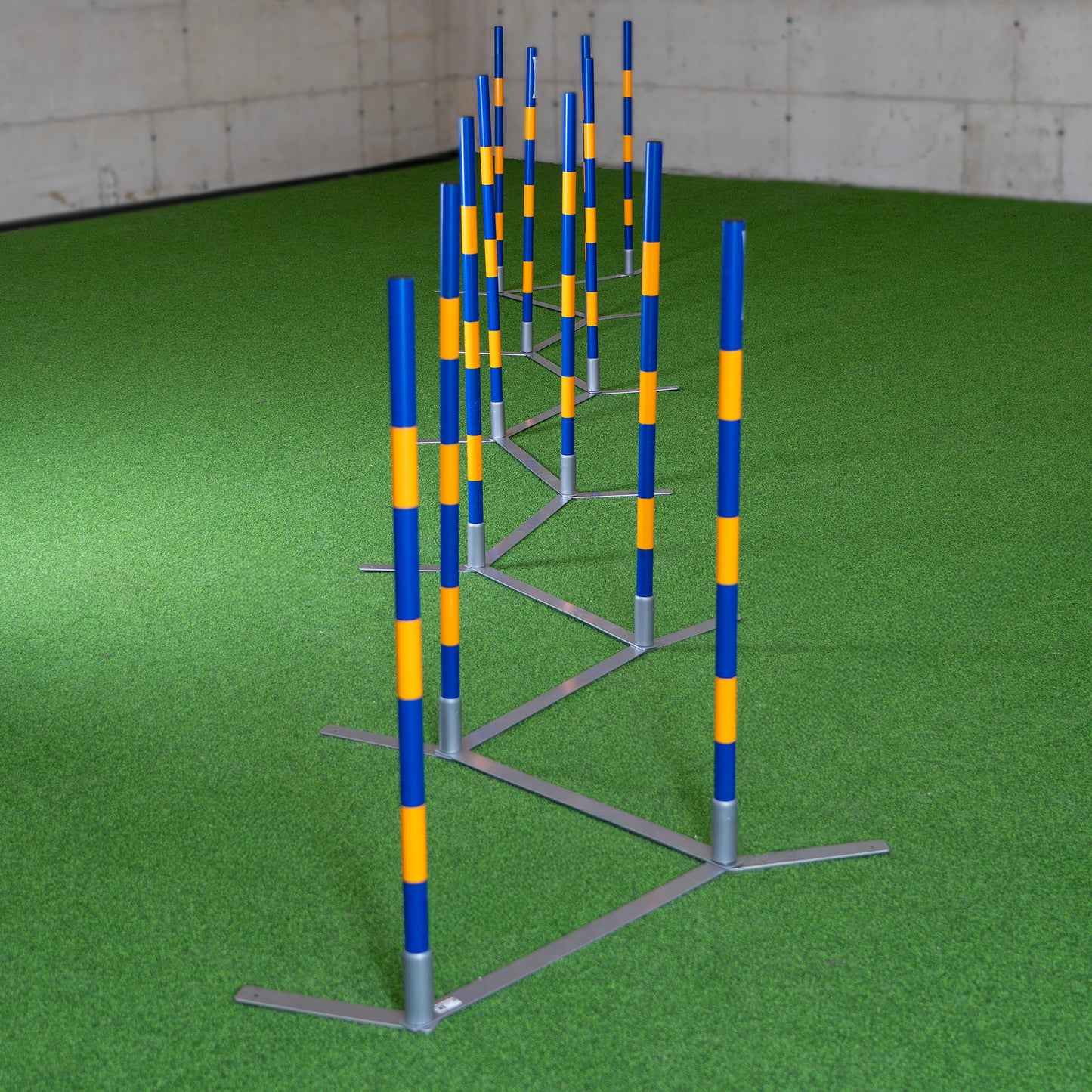 Agility Slalom „Agi Slalom 12x60cm Vario“ – FCI-konformer Trichterslalom & Gassenslalom