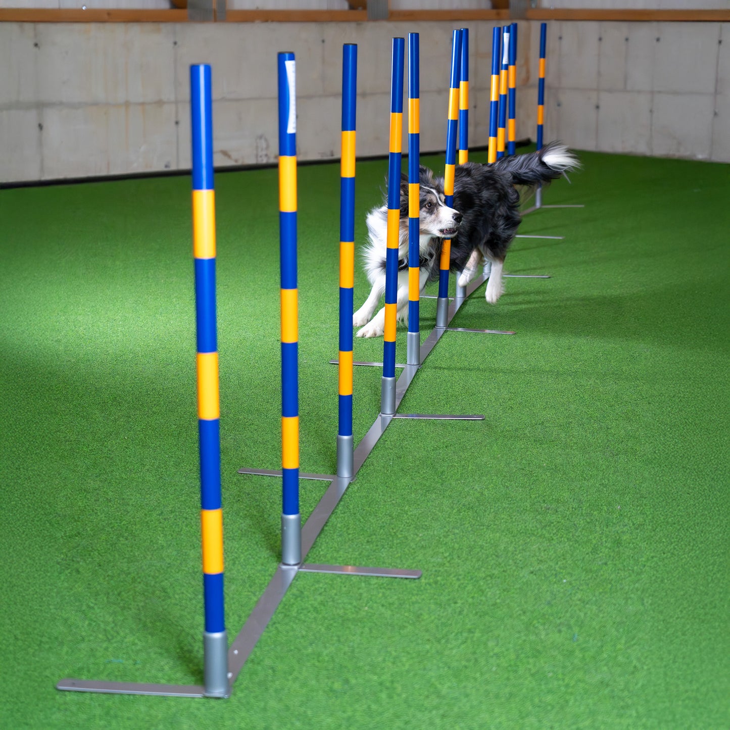 Agility Slalom „Agi Slalom 12x60cm Vario“ – FCI-konformer Trichterslalom & Gassenslalom