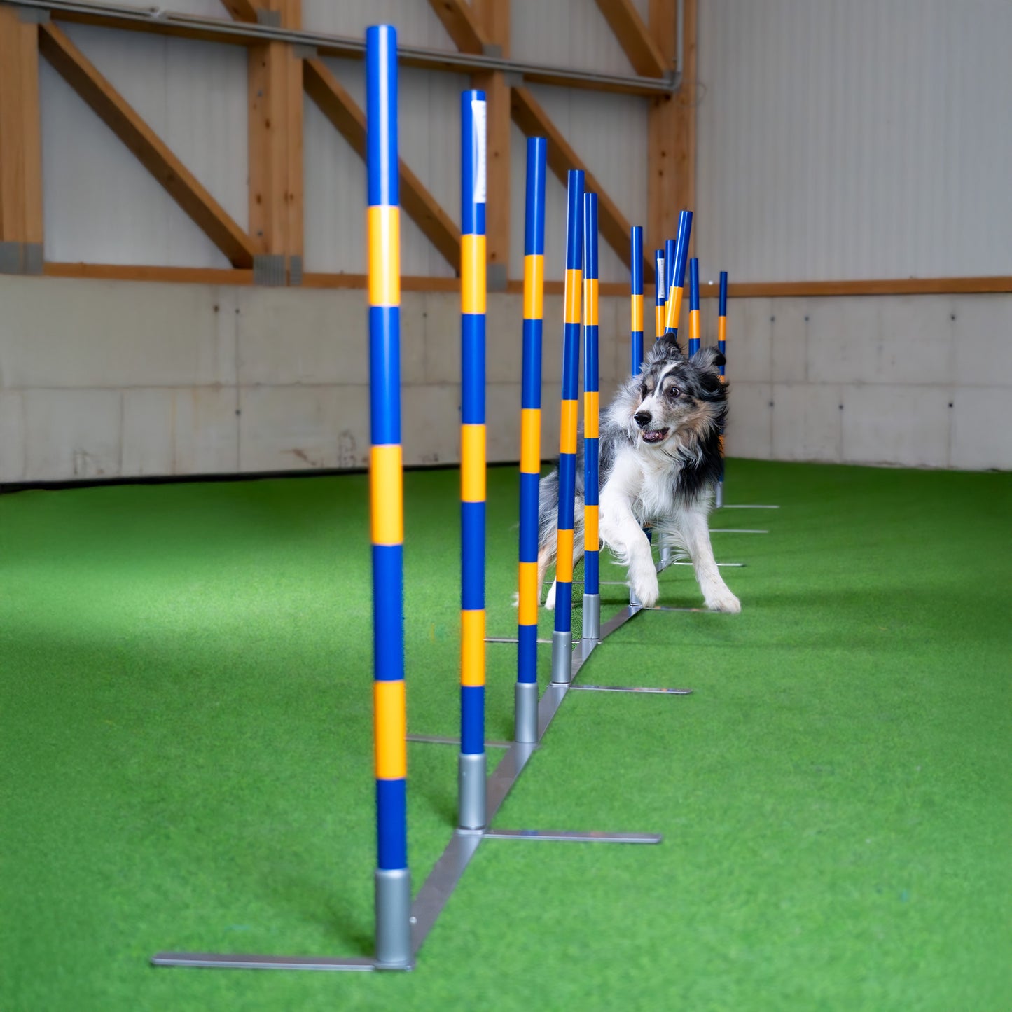 Agility Slalom „Agi Slalom 12x60cm Vario“ – FCI-konformer Trichterslalom & Gassenslalom