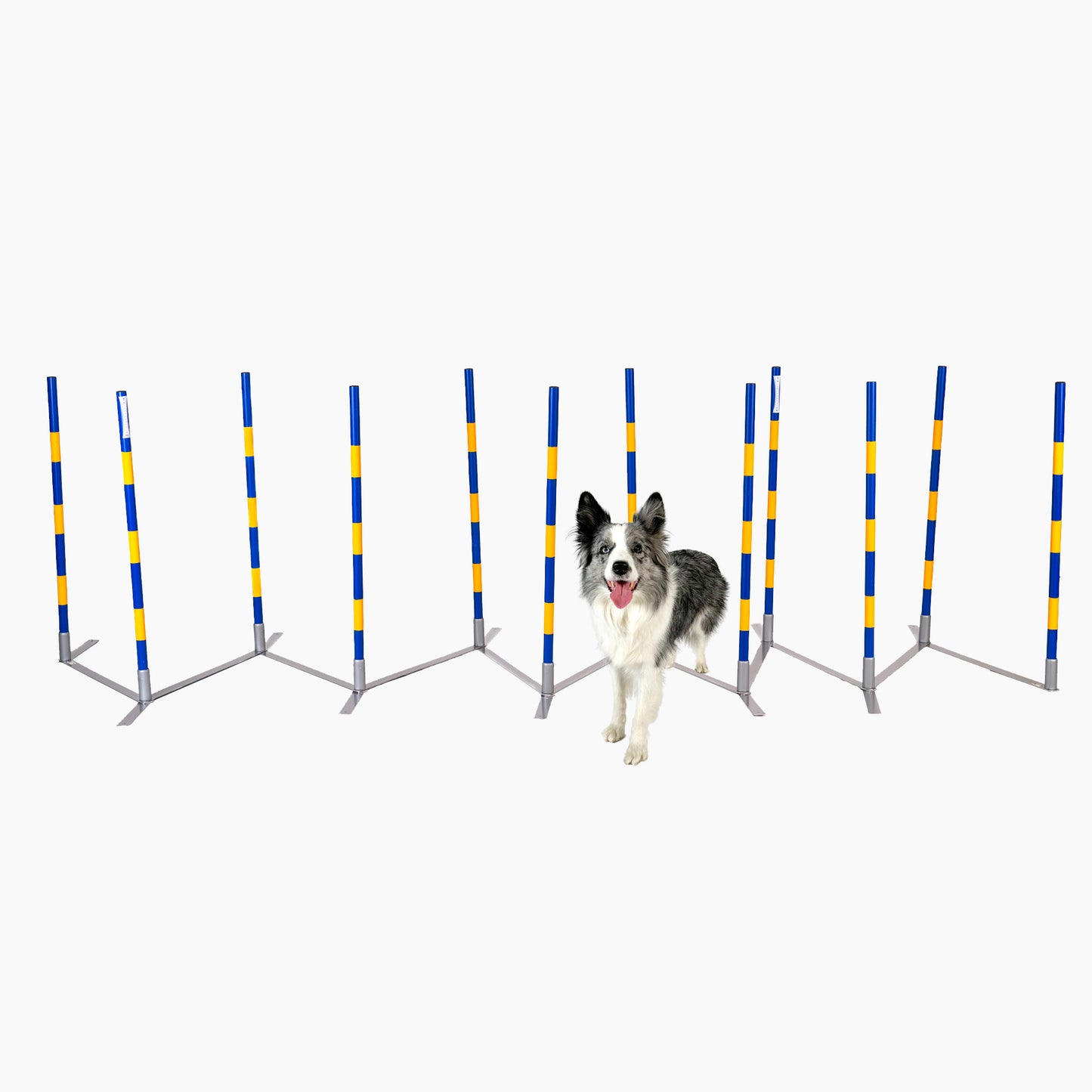 Agility Slalom „Agi Slalom 12x60cm Vario“ – FCI-konformer Trichterslalom & Gassenslalom