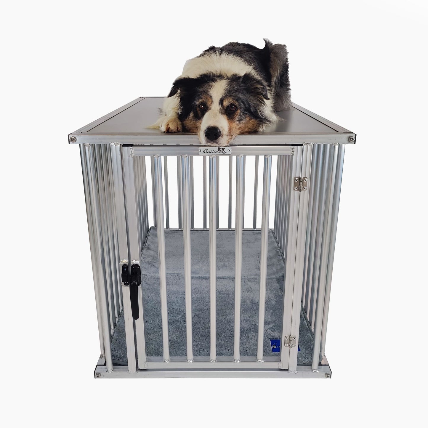 ALU DOGBOX PRO (FIX) – Hochwertiger Aluminium-Hundekäfig für Zuhause, Büro & Reisen