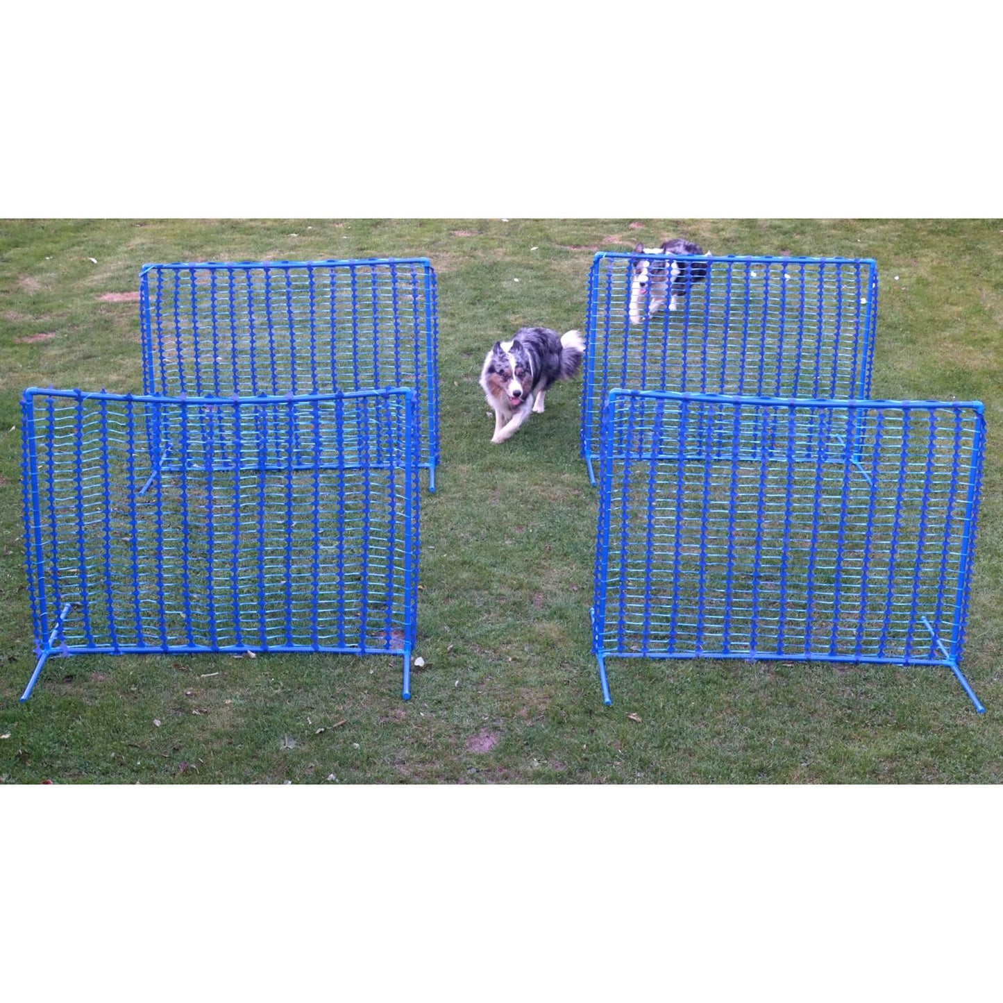 Hoopers Agility Fun Gatter „Blue Gate“ – modular & windstabil