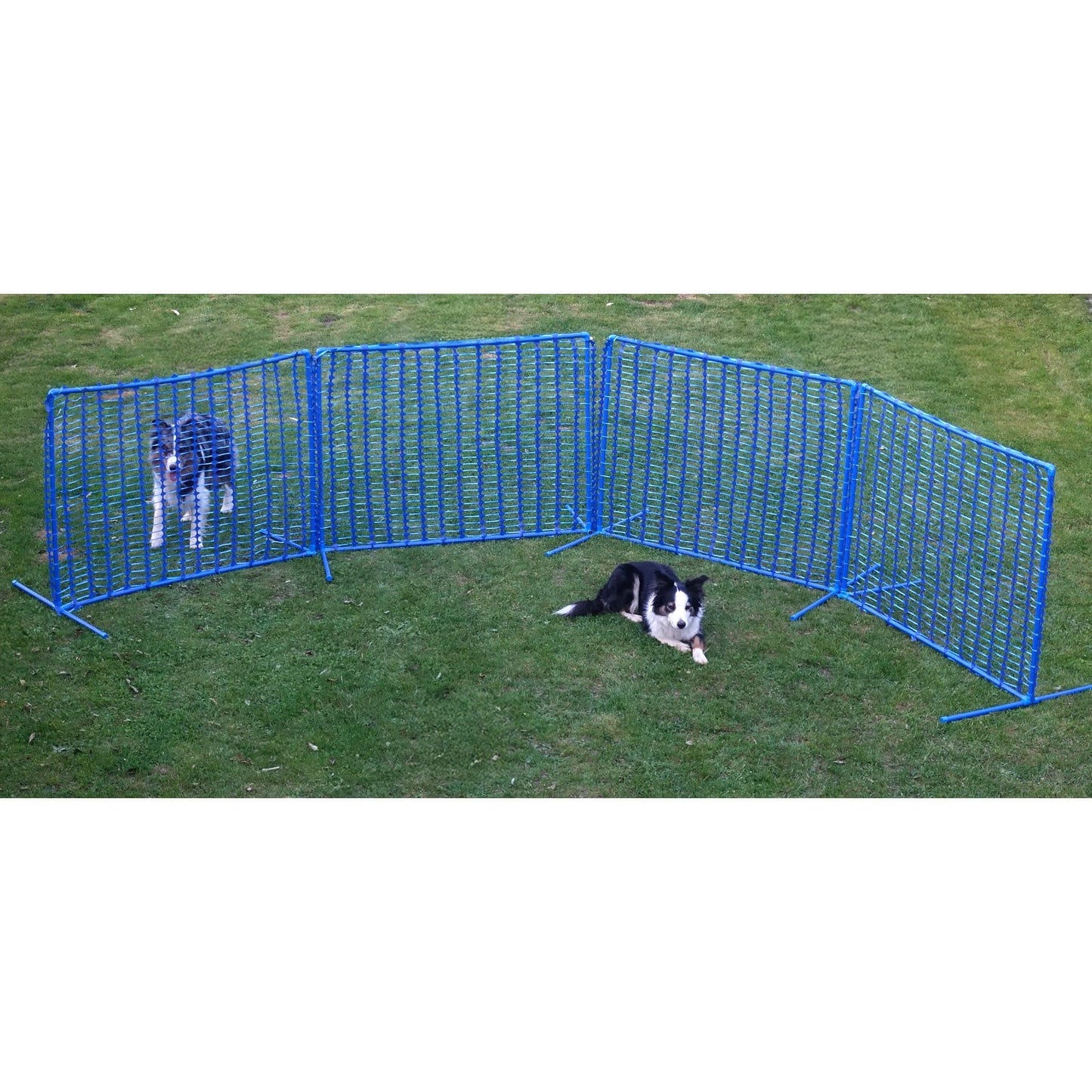 Hoopers Agility Fun Gatter „Blue Gate“ – modular & windstabil