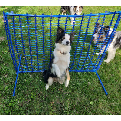 Callieway Hoopers Fun Gatter aufgebaut auf Trainingswiese