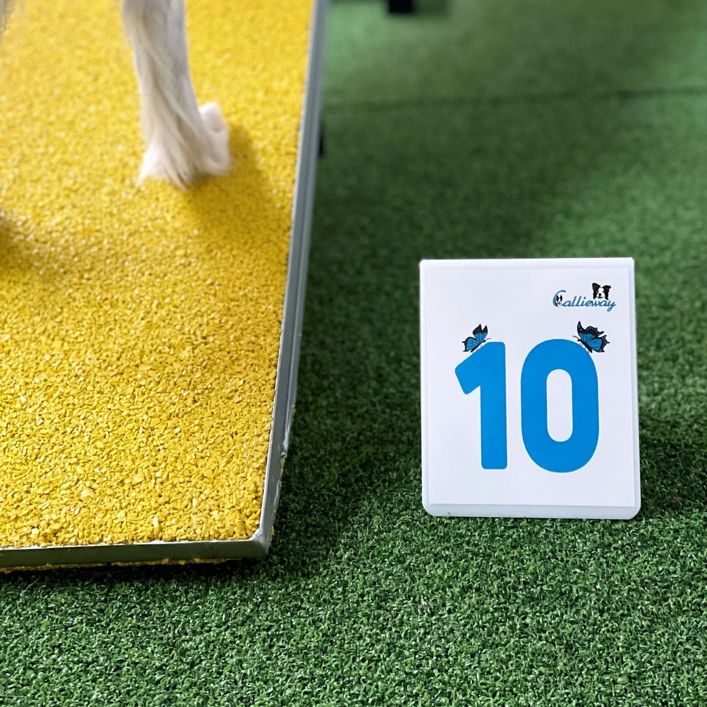 Agility Parcoursnummern / Rally Obedience Zahlen-Set (1-25)