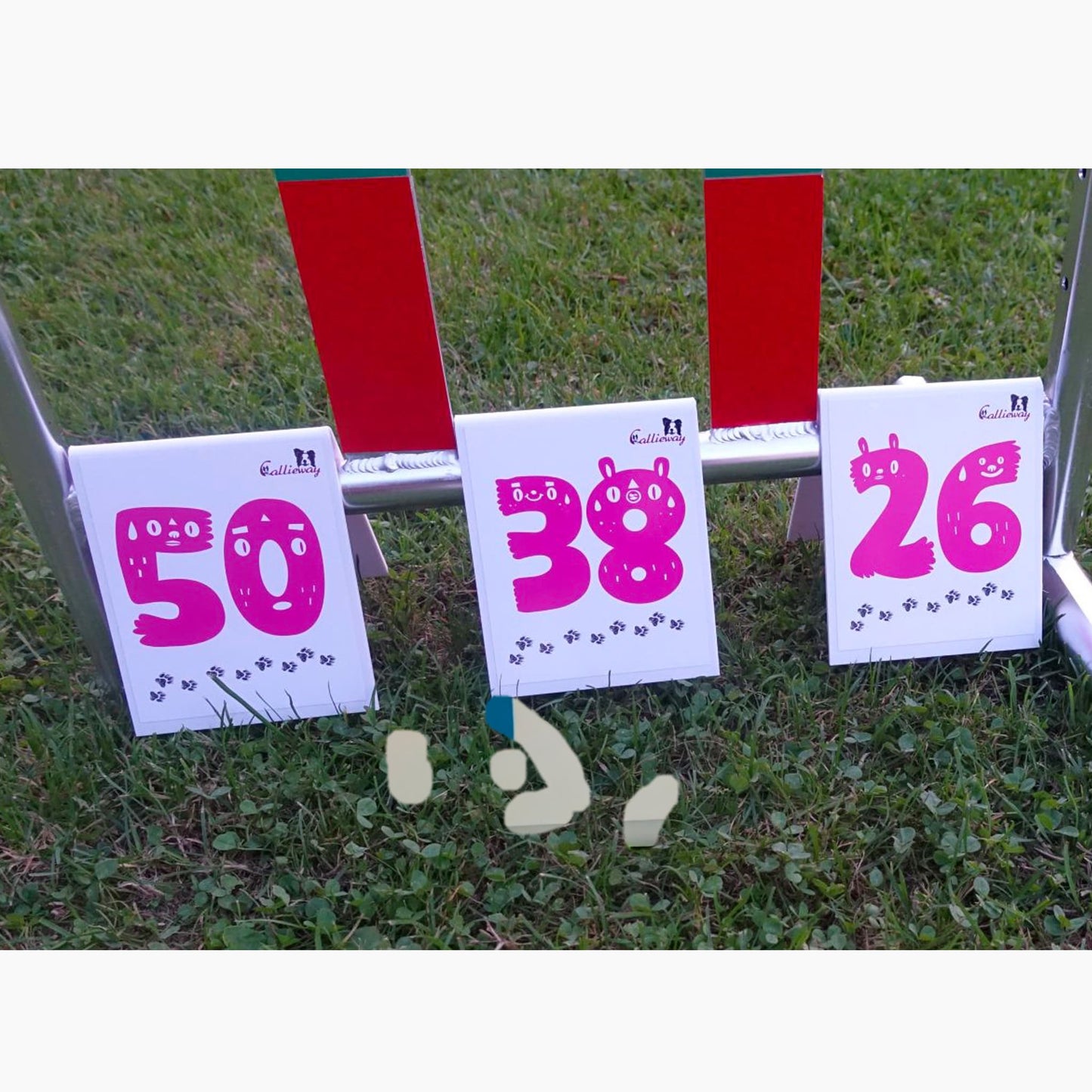 Agility Parcoursnummern / Rally Obedience Zahlen-Set (1-25)