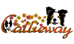 Callieway logo with autumn design featuring seasonal colors and dog agility
