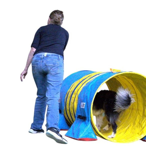 Callieway® yellow agility tunnel with dog running through it