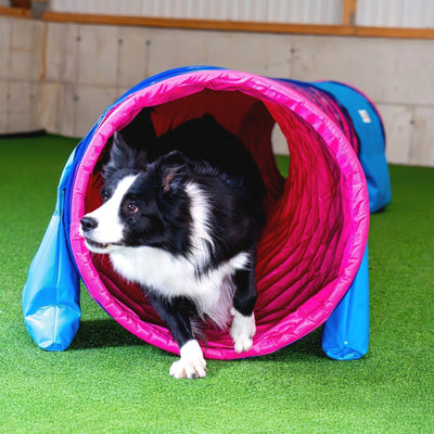 Die Vorteile eines zuverlässigen Agility Tunnels für Training & Wettkampf