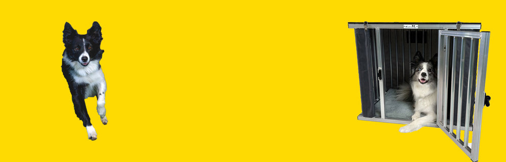 Hundeverwahrung – Sicher. Komfortabel. Durchdacht.