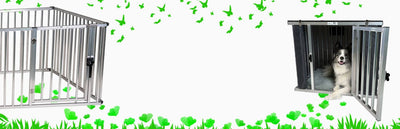 Hundeverwahrung – Sicher. Komfortabel. Durchdacht.