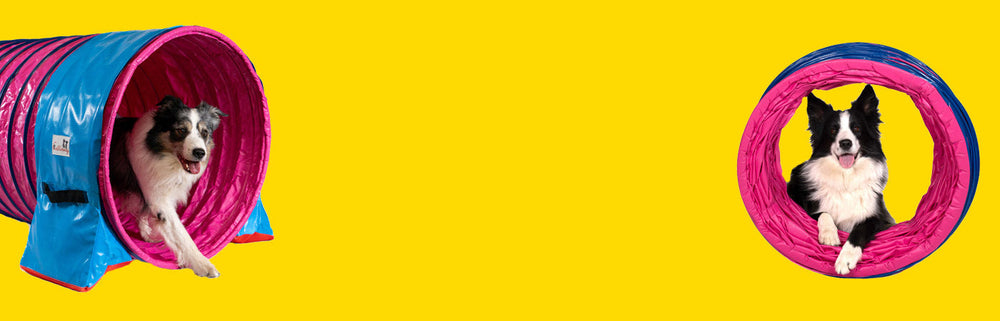 Agility Geräte & Zubehör für Hunde