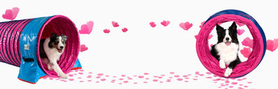 Agility Geräte & Zubehör für Hunde