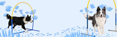 Hoopers Agility Geräte & Zubehör