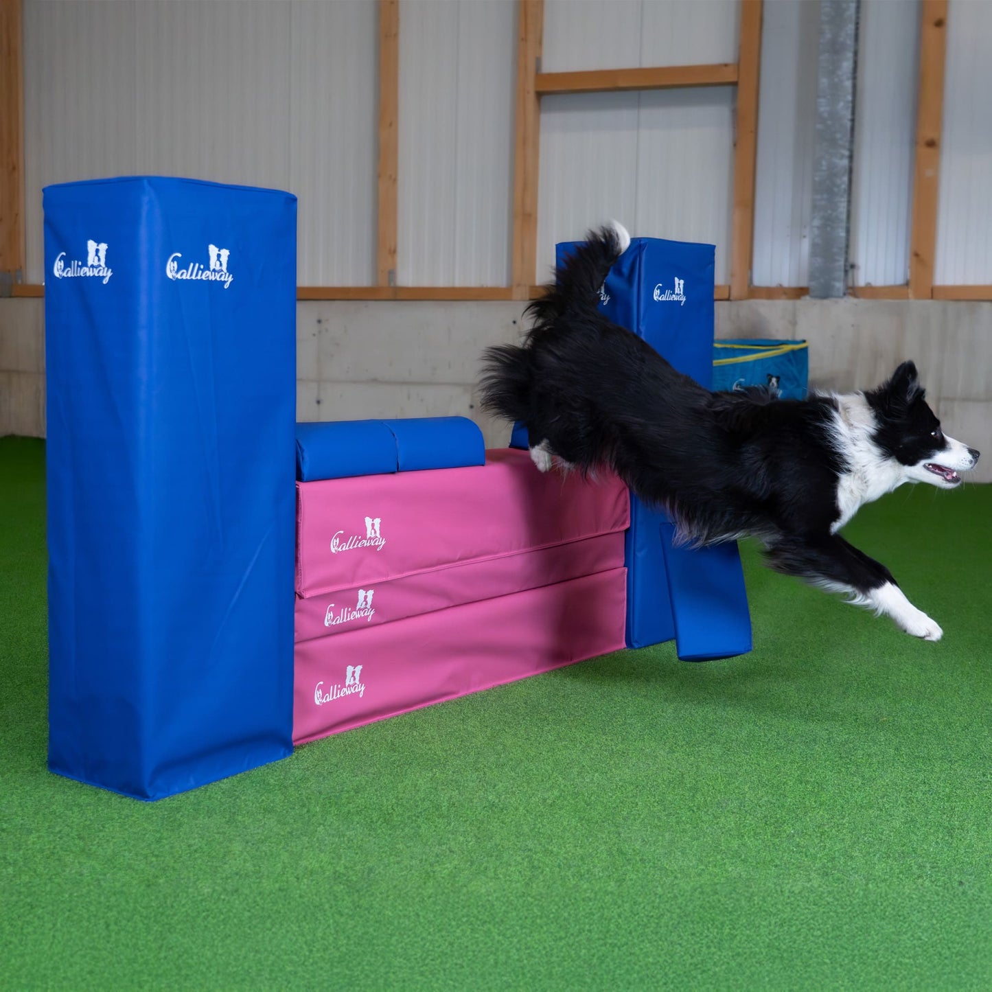 Animation eines Hundes beim Sprung über die Agility Mauer