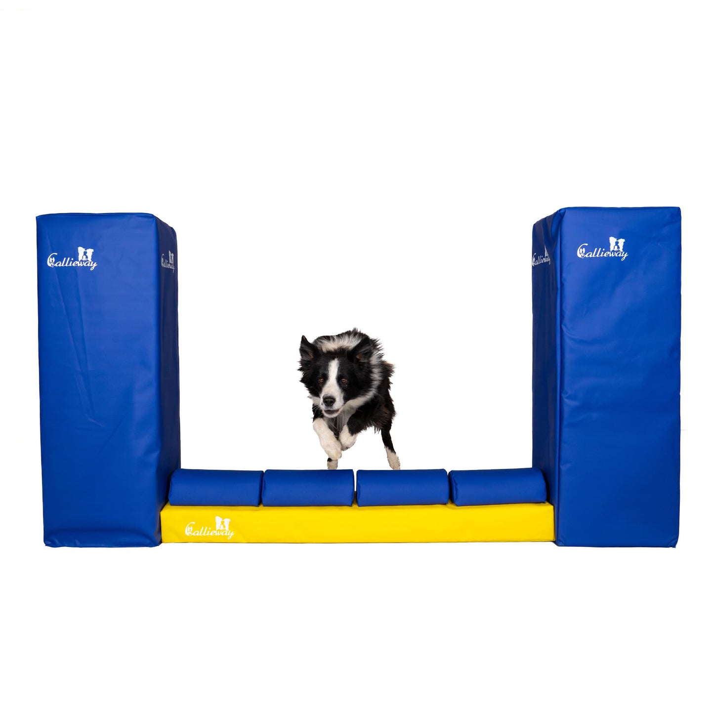 Agility Parcours mit Callieway Mauer Hindernis