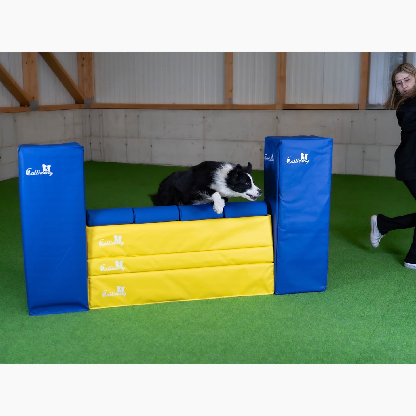 Agility Parcours mit Callieway Mauer Hindernis