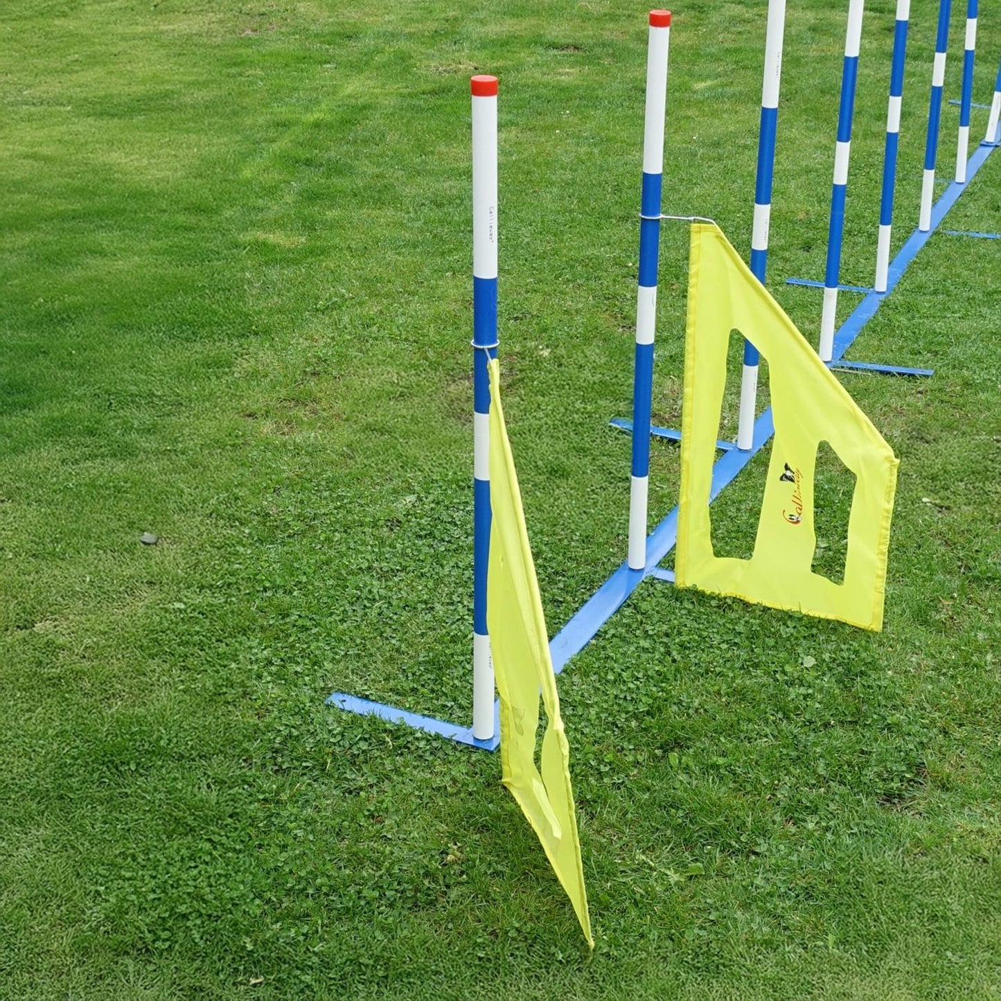 Callieway Slalom Trainingshilfe Gelb für Hundesport Training