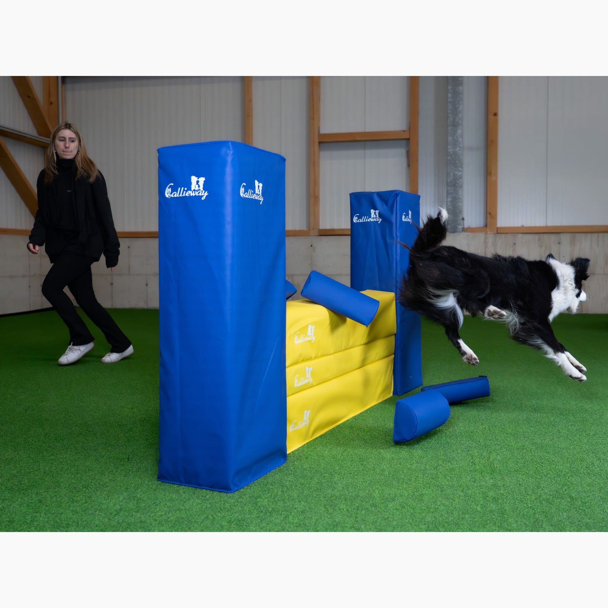 Callieway Agility Sprungmauer Gelb Blau für Hundetraining