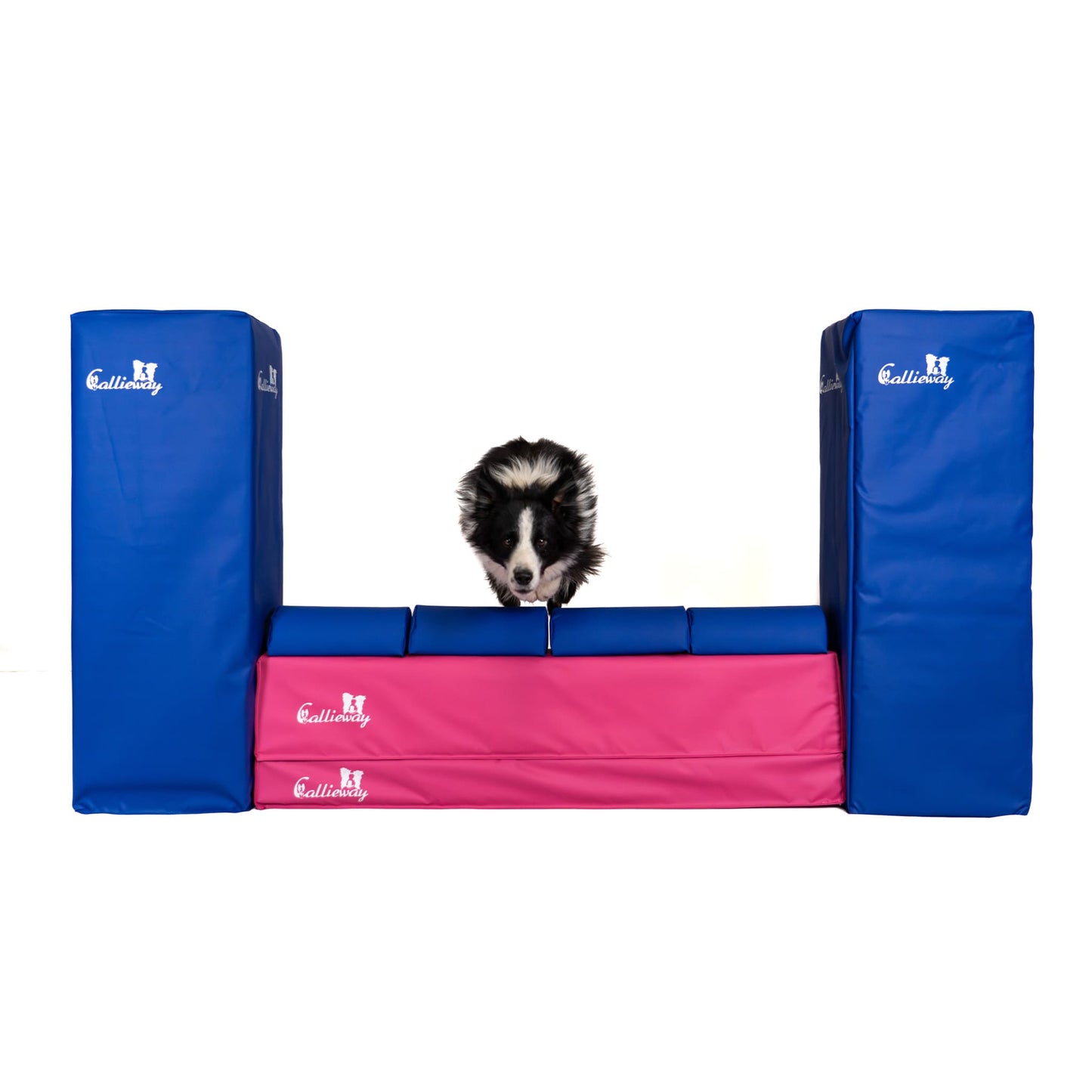 Callieway Agility Mauer Hindernis für Hundetraining
