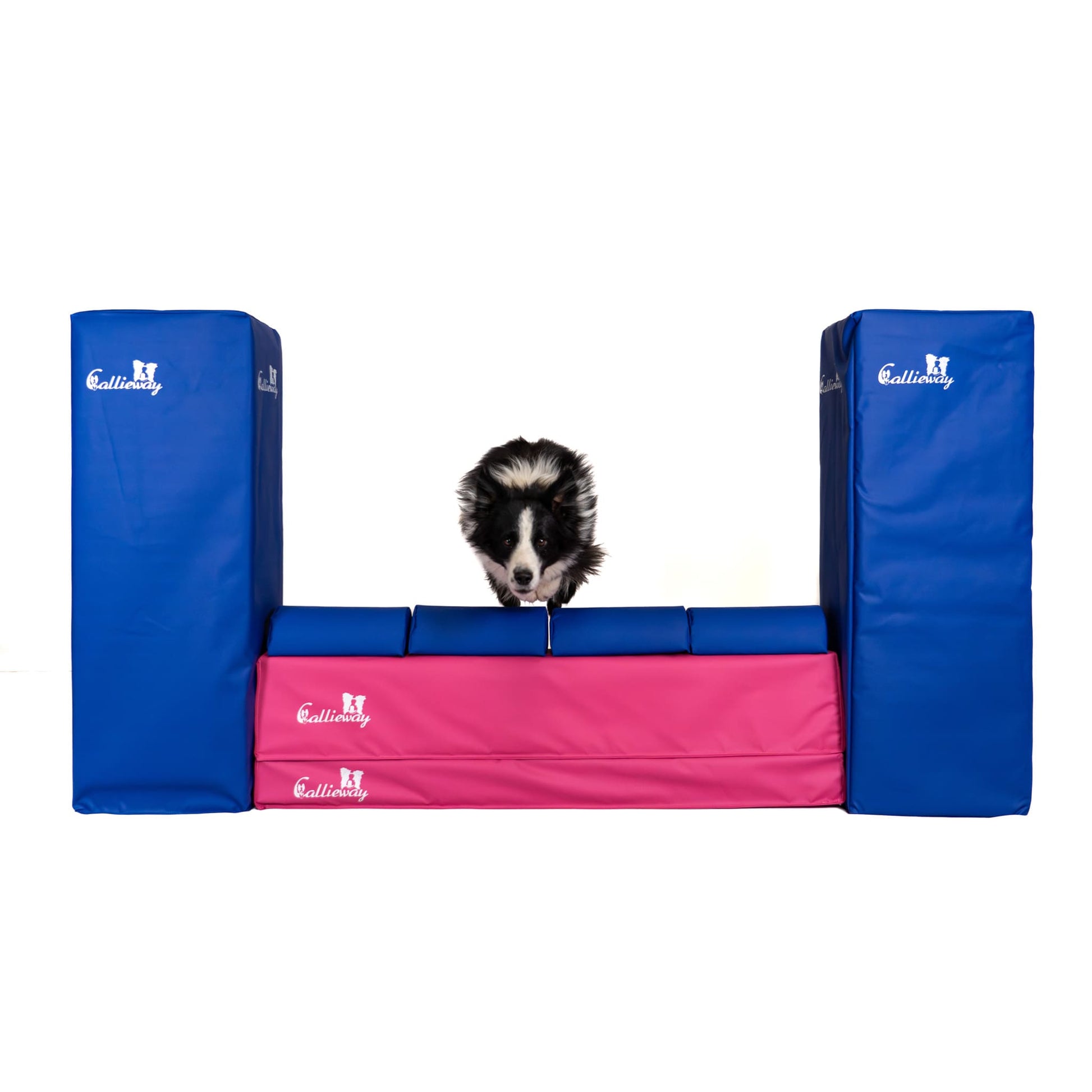 Callieway Agility Mauer Hindernis für Hundetraining