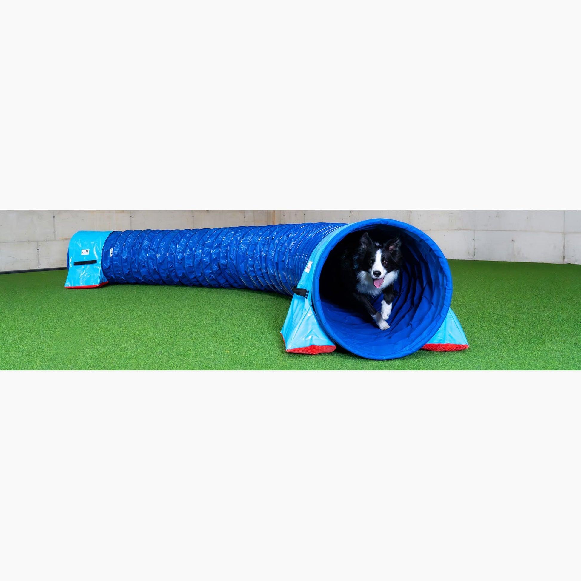 Callieway FullGrip Agility Tunnel Blau 6 m im Hundetraining