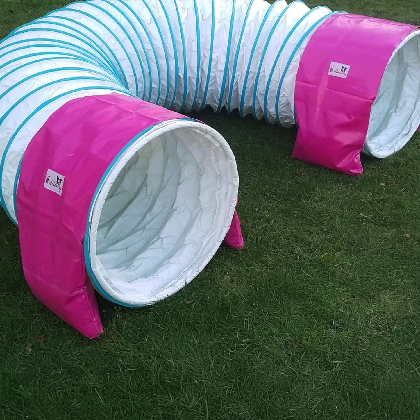 Callieway Basic Stützsandsack Fuchsia am Agility Tunnel