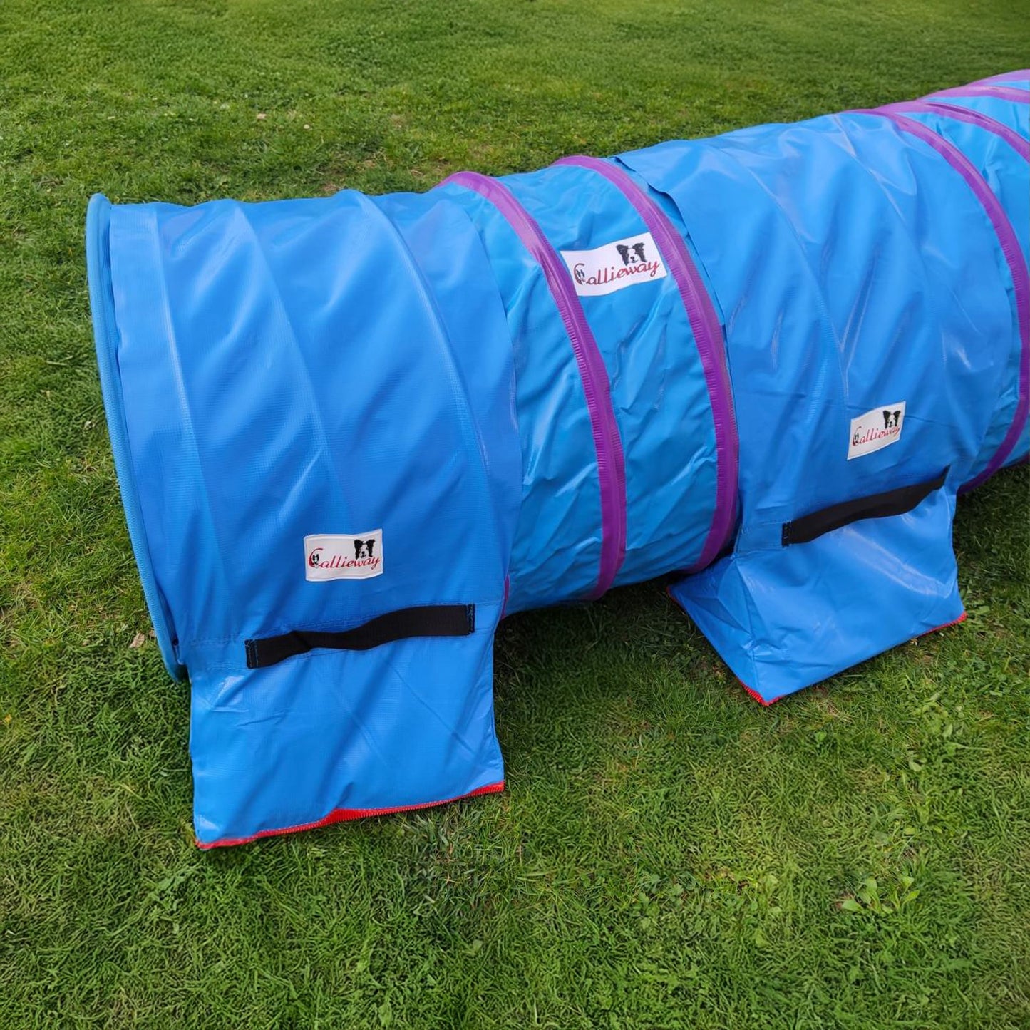 Callieway Premium Tunnel Gewichtssack Blau für sicheren Tunnelstand