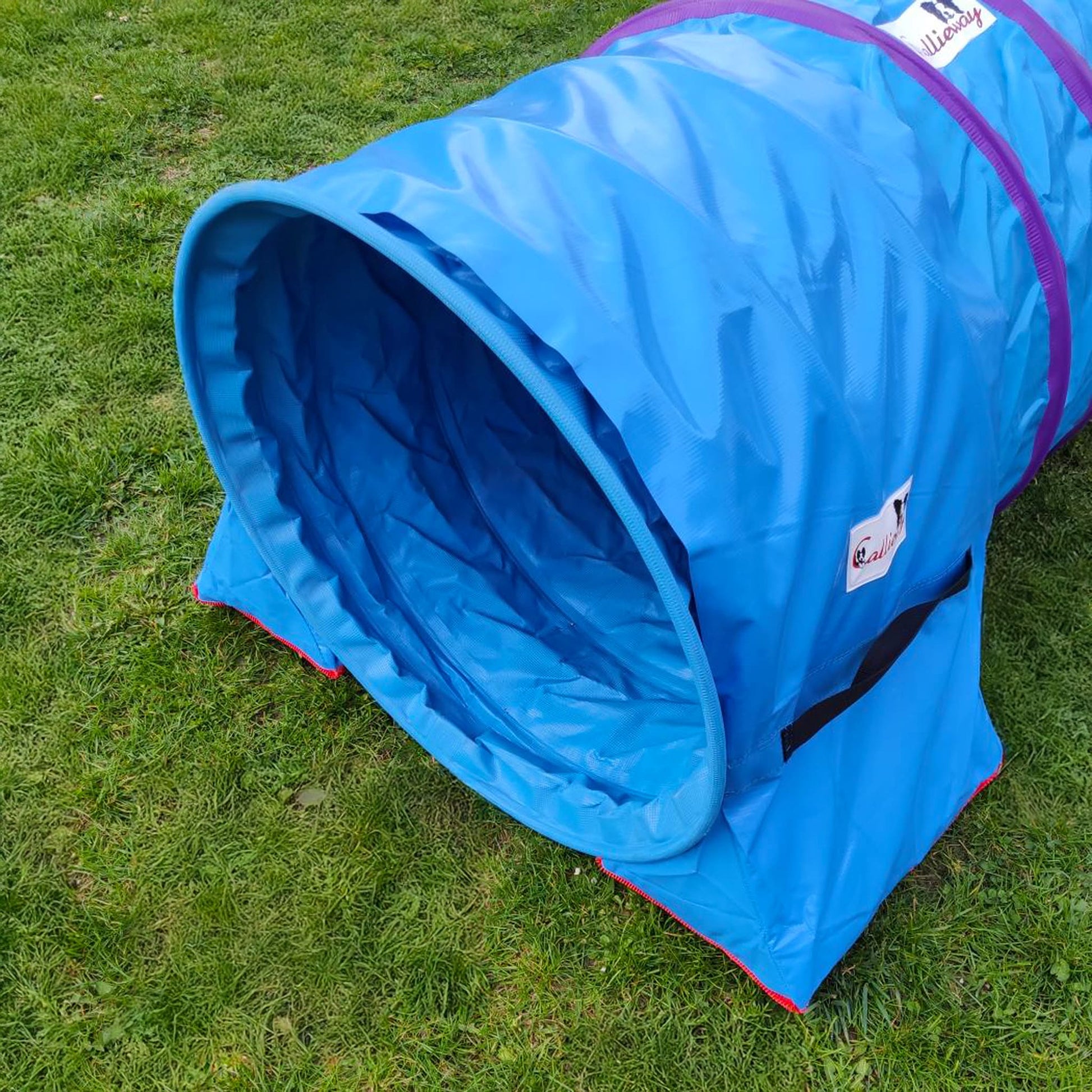 Callieway Premium Tunnelsack Blau fixiert einen Agility Tunnel