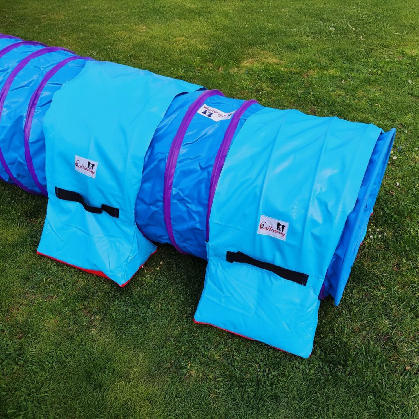 Callieway Premium Sandsack Cyan für Agility Tunnel