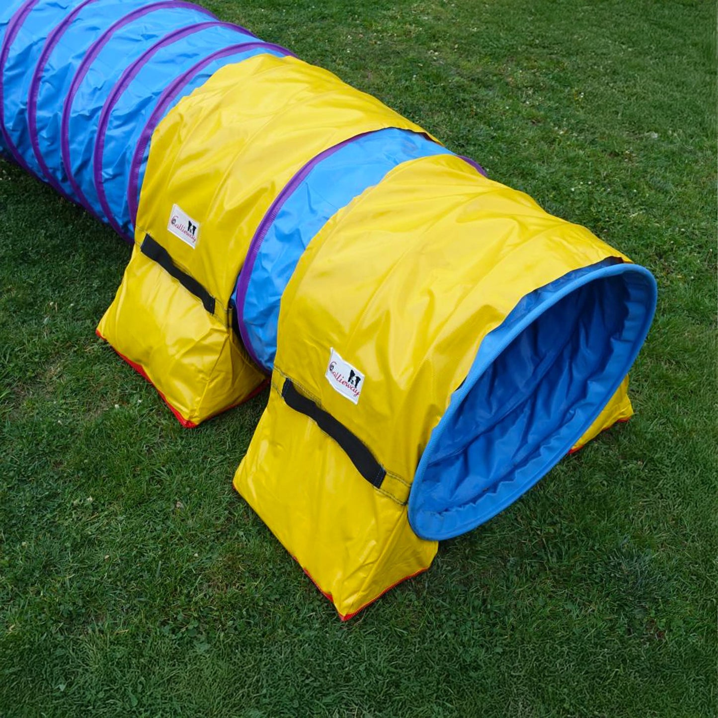 Callieway Premium Tunnel Gewichtssack Gelb im Training