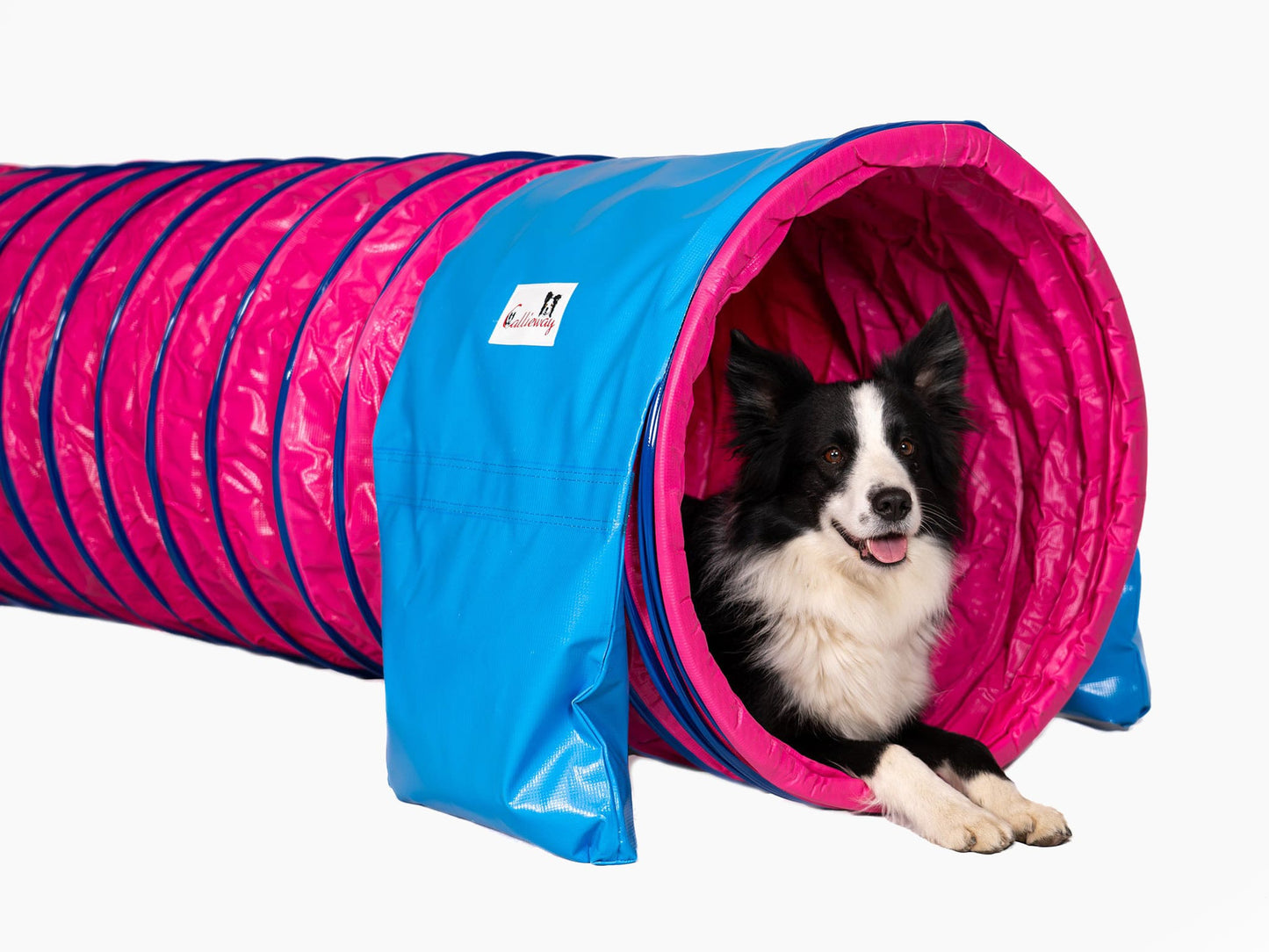 Callieway Premium Sandsack Blau für Hundesport Tunnel