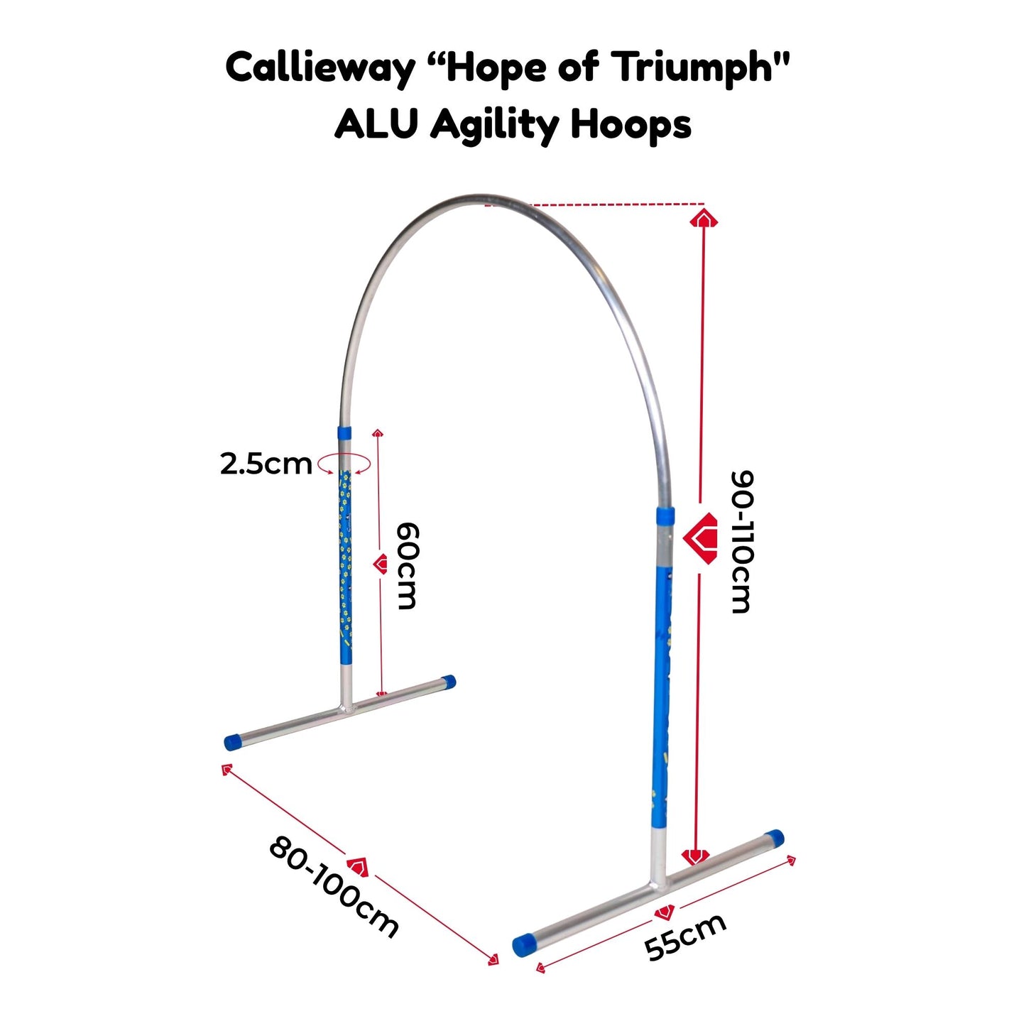 Callieway ALU Hoopers Hoops "Hoop de Triomphe" BLU/ALU - Qualità da torneo