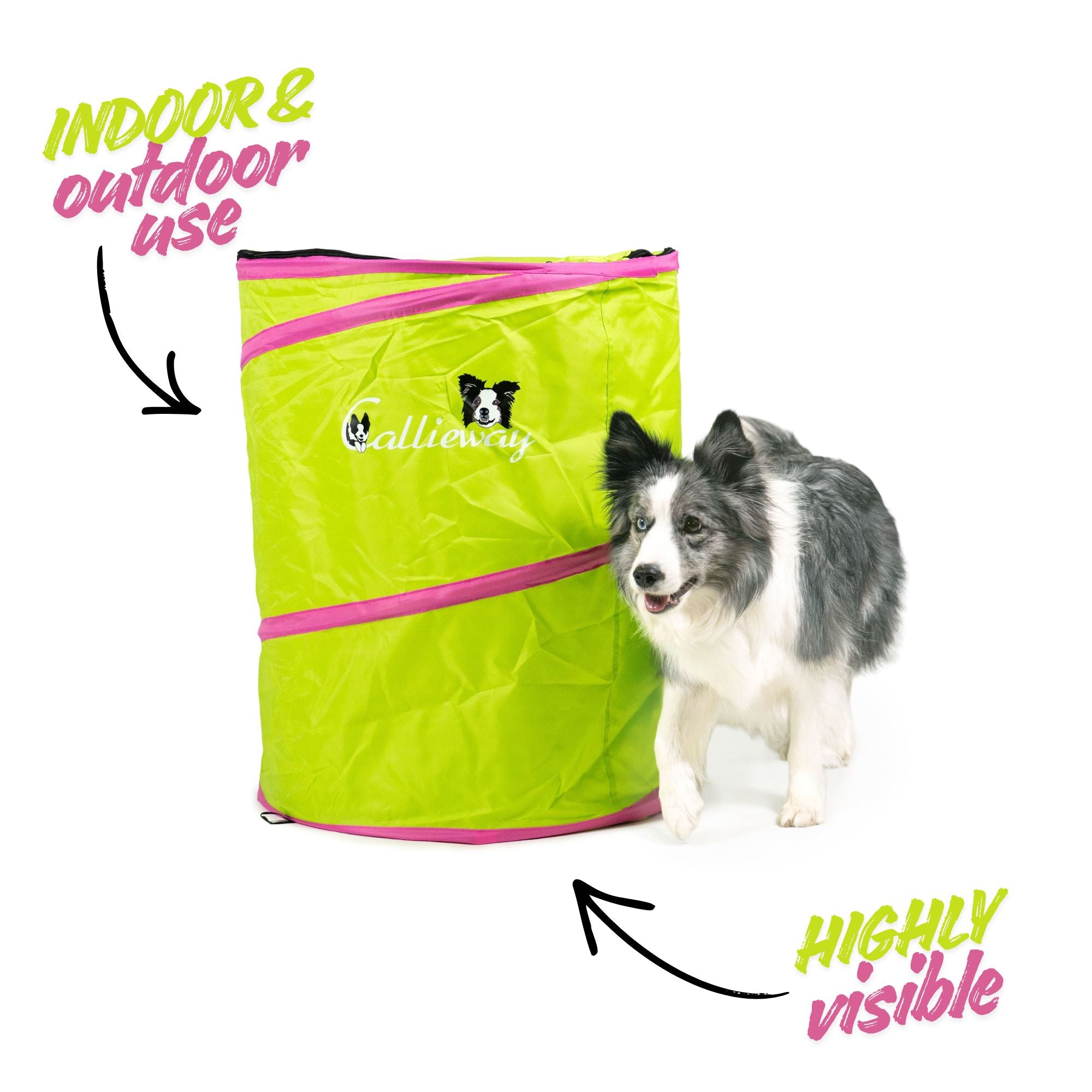 Lime green Callieway hoopers tunnel for indoor and outdoor use, highly visible design, with border collie