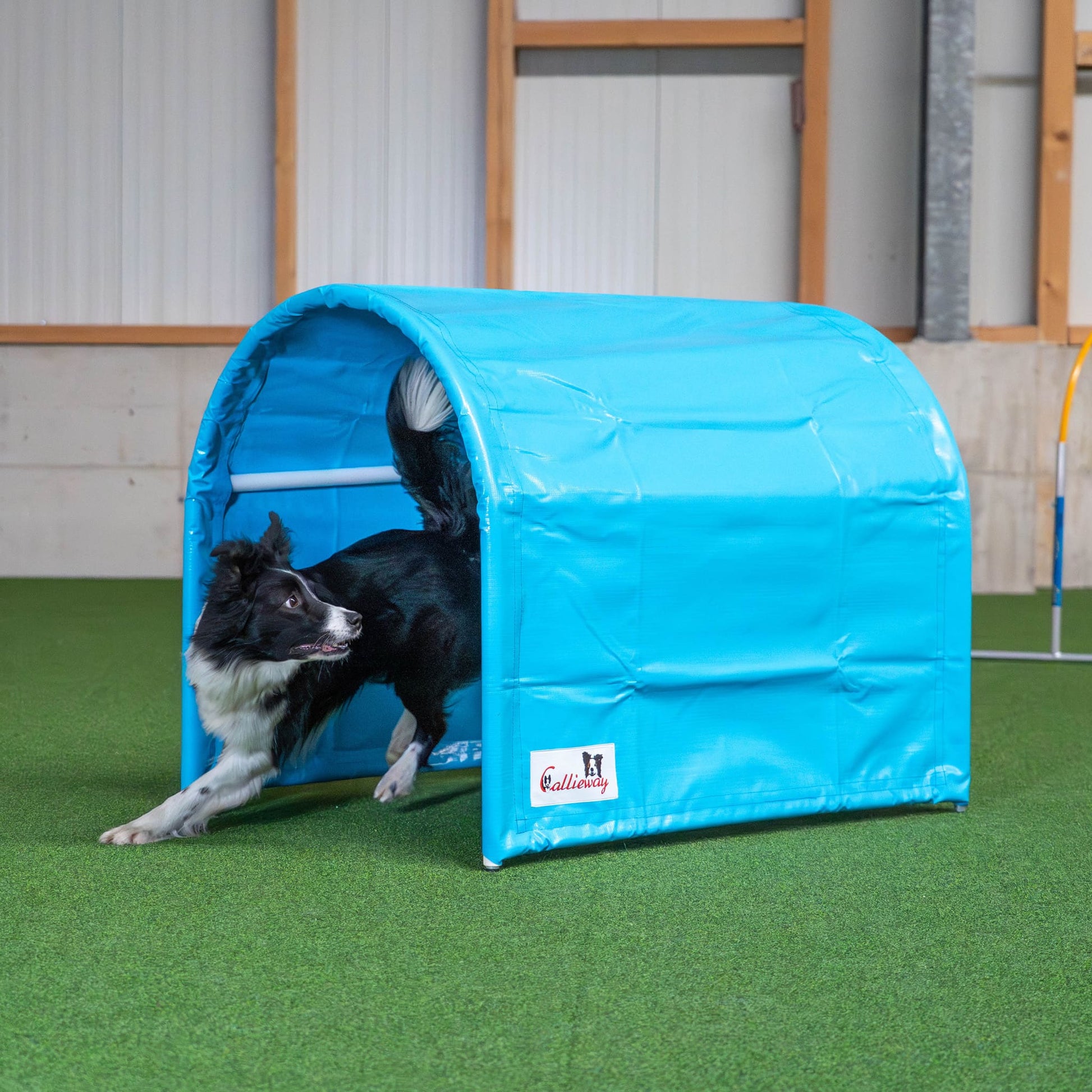 Callieway BOLO-des-Alpes cyan hoopers tunnel double pack, main product photo