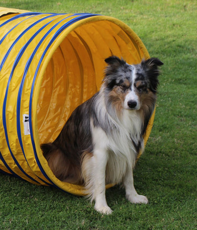 Hoopers Agility Tunnel Set “Profi”– orig. Callieway / Tunnelset (2 Stk. pro Packung) für Hoopers Hundesport "Profi"