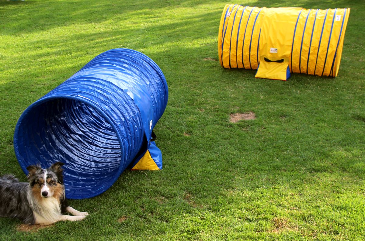 Hoopers Agility Tunnel Set “Profi”– orig. Callieway / Tunnelset (2 Stk. pro Packung) für Hoopers Hundesport "Profi"