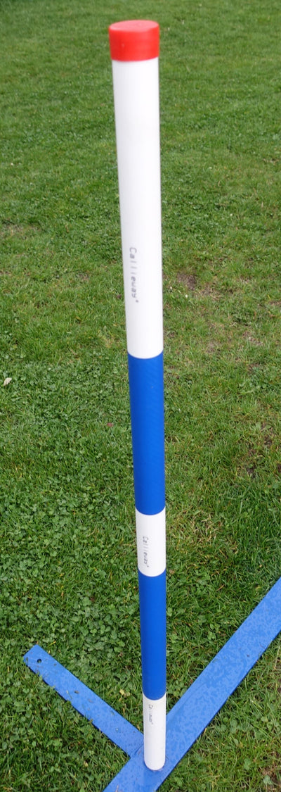 Agility Slalomstangen – 6er Pack für 3,2cm Hülsenstecksystem