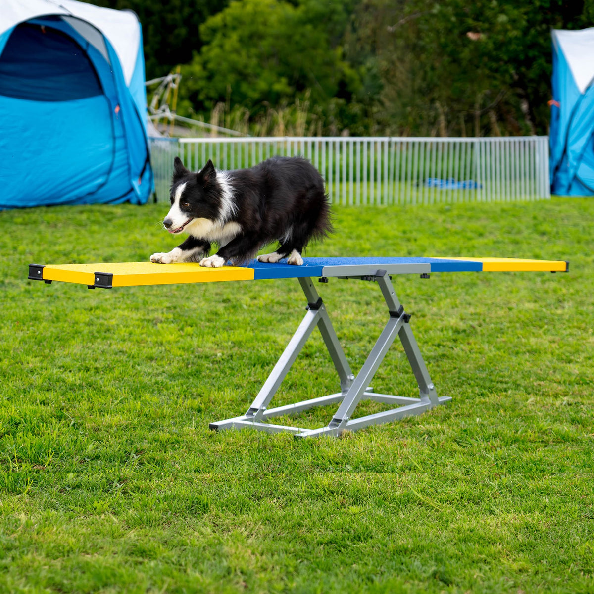 Border Collie training on a blue and yellow Callieway Wippe Vario seesaw